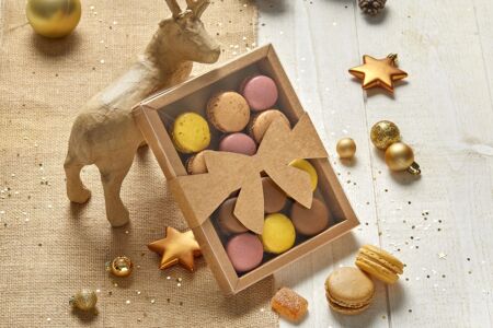 Coline Fourreau "Noeud"